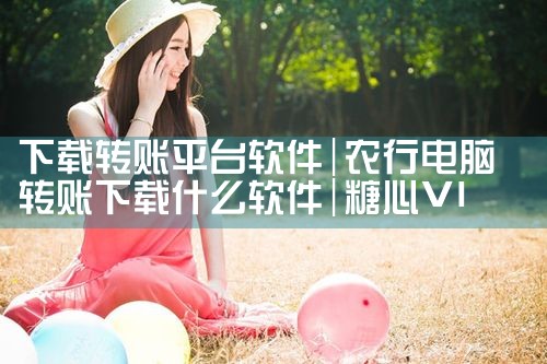 下载转账平台软件|糖心Vlog入口