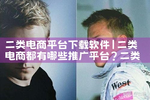 二类电商平台下载软件