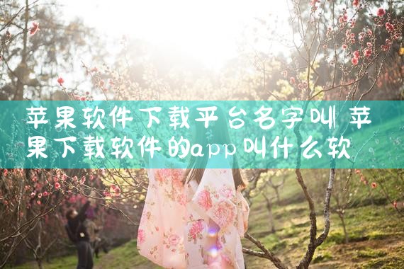 苹果软件下载平台名字叫|糖心Vlog入口