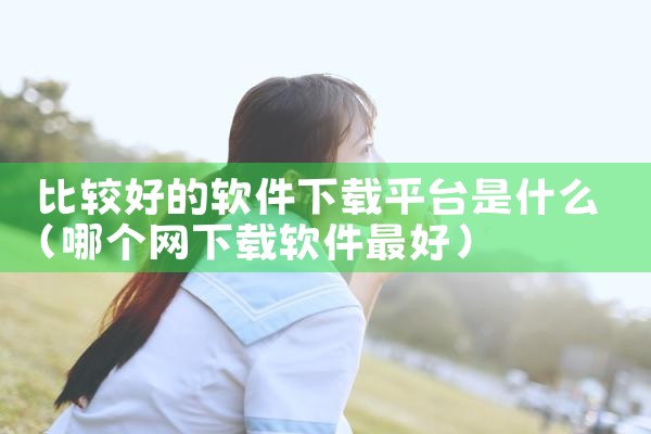 比较好的软件下载平台是什么