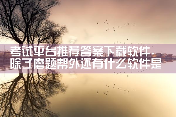 考试平台推荐答案下载软件|男娘日记