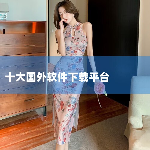 简介：9apps是阿里巴巴面向国外市场的安卓应用下载平台。优点：界面美观无广告，软件经过验证审核，确保安全性。提供国际化的多语言版本和APP客户端，方便用户下载和管理应用。缺点：内容没有Google |