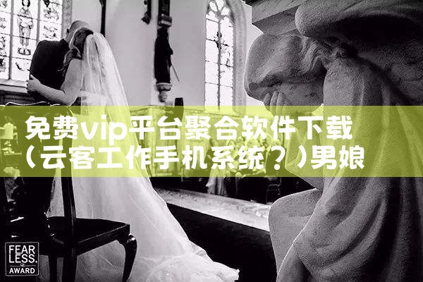 免费vip平台聚合软件下载|男娘日记