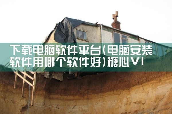 下载电脑软件平台|糖心Vlog入口