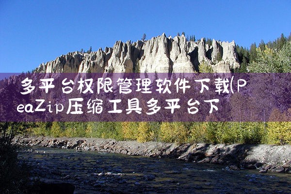 多平台权限管理软件下载|糖心Vlog入口