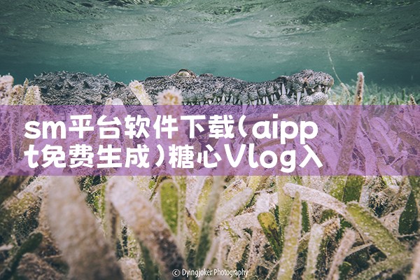 sm平台软件下载|糖心Vlog入口