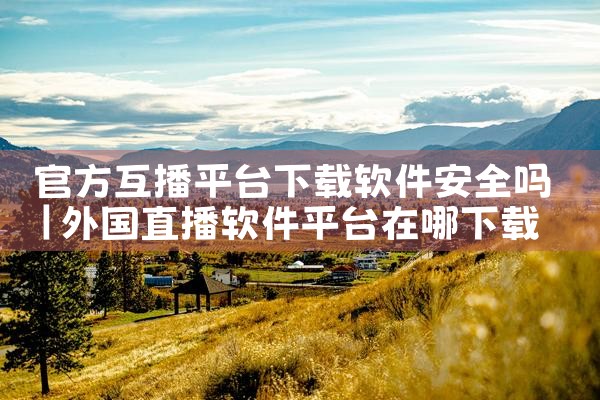 官方互播平台下载软件安全吗