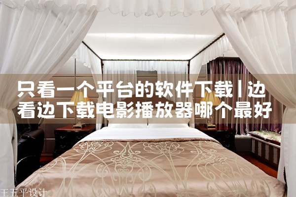 只看一个平台的软件下载